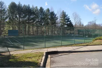 51 Barn Owl Way, Hendersonville, NC 28792 - Photo 15