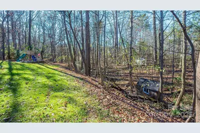 8074 Andrew Franklin Drive, Denver, NC 28037 - Photo 47