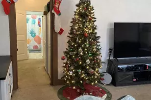 220 E Catawba Ave, Mount Holly, NC 28120 - Photo 5