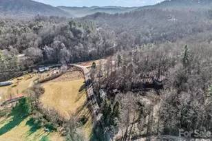 9 Blue Grass Cir, Rosman, NC 28772 - Photo 17