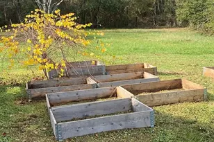 137 Bellvue St, Forest City, NC 28043 - Photo 15