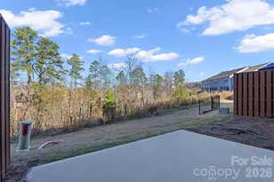620 Amber Meadows Way, Tega Cay, SC 29708 - Photo 23