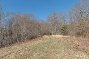 74 Buckeye Cove Rd, Canton, NC 28716 - Photo 7