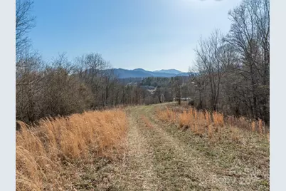 74 Buckeye Cove Road, Canton, NC 28716 - Photo 5