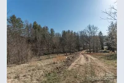 74 Buckeye Cove Road, Canton, NC 28716 - Photo 3