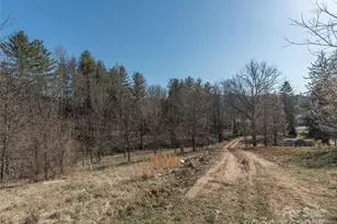 74 Buckeye Cove Rd, Canton, NC 28716 - Photo 3