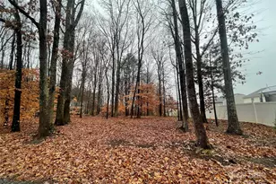 8225 Teeter Dr, Charlotte, NC 28215 - Photo 5