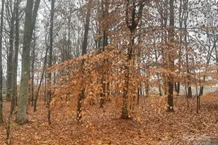 8225 Teeter Dr, Charlotte, NC 28215 - Photo 15