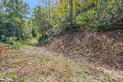 16 Harleys Cove, Waynesville, NC 28785 - Photo 3
