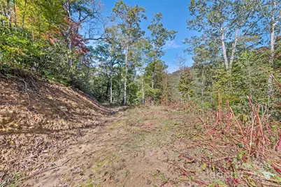 16 Harleys Cove, Waynesville, NC 28785 - Photo 21