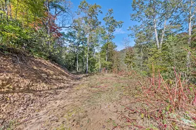 16 Harleys Cove, Waynesville, NC 28785 - Photo 21