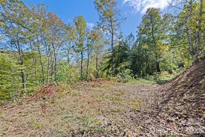 16 Harleys Cove, Waynesville, NC 28785 - Photo 19