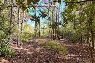 Tbd Mack Luke Rd, Whittier, NC 28789 - Photo 19