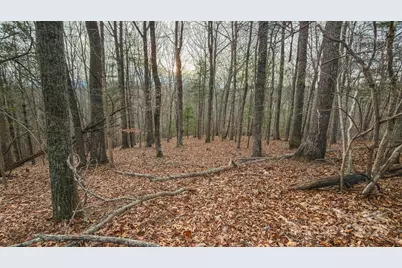 0 Foster Oliver Lane, Lansing, NC 28643 - Photo 33