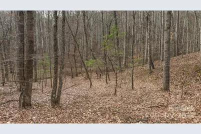 0 Foster Oliver Lane, Lansing, NC 28643 - Photo 29