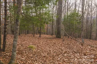 0 Foster Oliver Lane, Lansing, NC 28643 - Photo 17