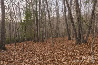 0 Foster Oliver Lane, Lansing, NC 28643 - Photo 27
