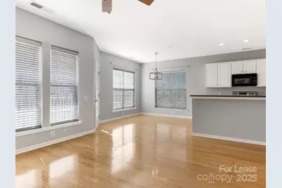 3164 Margellina Drive, Charlotte, NC 28210 - Photo 5