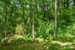 543 College St, Asheville, NC 28801 - Photo 19