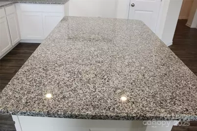 3419 Selwyn Landing Drive, Charlotte, NC 28215 - Photo 9