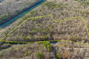 0 Cooper Rd, Staley, NC 27355 - Photo 1