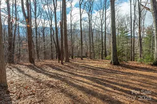 332 Richmond Ave, Swannanoa, NC 28778 - Photo 27