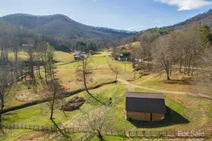 366 Dix Creek Rd, Leicester, NC 28748 - Photo 45