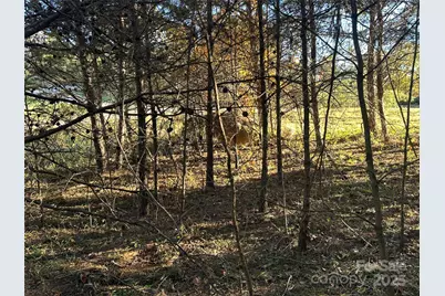 0 Rock Ledge Drive #339, Lake Lure, NC 28746 - Photo 3