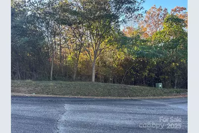 0 Rock Ledge Drive #339, Lake Lure, NC 28746 - Photo 9