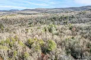 27 Spring Valley Rd, Pisgah Forest, NC 28768 - Photo 35