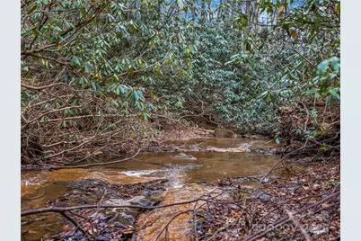 191 Pacolet Woods Lane, Saluda, NC 28773 - Photo 37