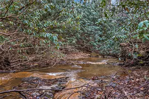 191 Pacolet Woods Ln, Saluda, NC 28773 - Photo 37