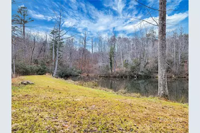 191 Pacolet Woods Lane, Saluda, NC 28773 - Photo 41