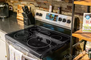 16 Rocky Glen Trail, Black Mountain, NC 28711 - Photo 23