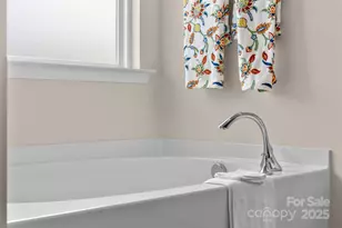 12421 Dove Meadow Drive, Charlotte, NC 28278 - Photo 27