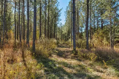 0000 Quarter Round Road #9, Pacolet, SC 29372 - Photo 7