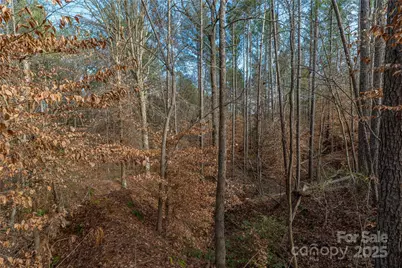 0000 Quarter Round Road #9, Pacolet, SC 29372 - Photo 37