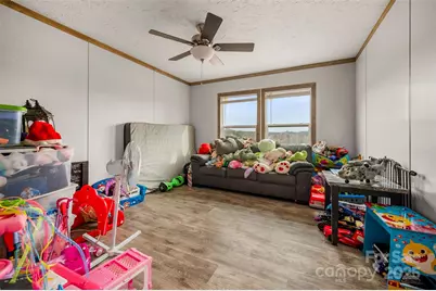 859 Henry Jenkins Road, Mooresboro, NC 28114 - Photo 21