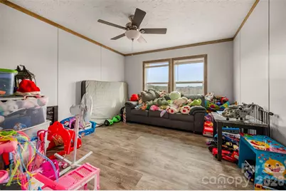 859 Henry Jenkins Road, Mooresboro, NC 28114 - Photo 21