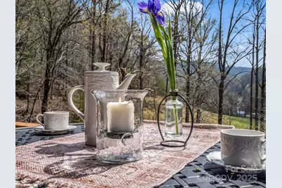 107 Twisted Birch Drive, Hendersonville, NC 28792 - Photo 21