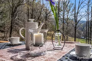 107 Twisted Birch Dr, Hendersonville, NC 28792 - Photo 21