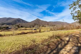 2888 Beaverdam Rd, Canton, NC 28716 - Photo 35