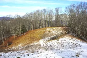 Sr-1386 W Sang Branch Hog Branch Road W, Burnsville, NC 28714 - Photo 5