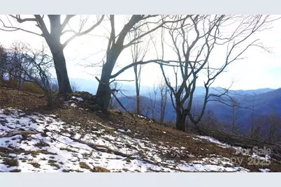 Sr-1386 W Sang Branch, Hog Branch Road W, Burnsville, NC 28714 - Photo 1