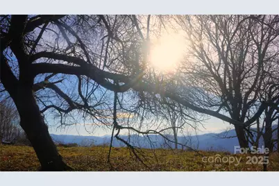 Sr-1386 W Sang Branch, Hog Branch Road W, Burnsville, NC 28714 - Photo 9