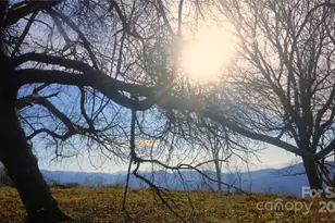 Sr-1386 W Sang Branch Hog Branch Road W, Burnsville, NC 28714 - Photo 9