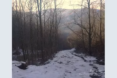 Sr-1386 W Sang Branch, Hog Branch Road W, Burnsville, NC 28714 - Photo 13