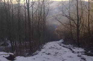 Sr-1386 W Sang Branch Hog Branch Road W, Burnsville, NC 28714 - Photo 13