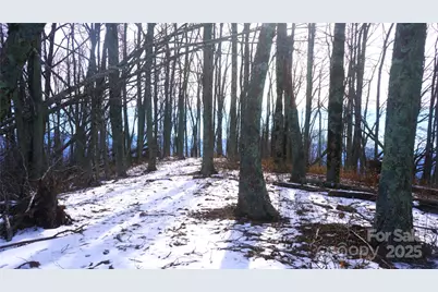 Sr-1386 W Sang Branch, Hog Branch Road W, Burnsville, NC 28714 - Photo 3