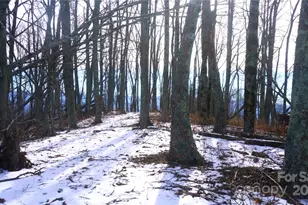 Sr-1386 W Sang Branch Hog Branch Road W, Burnsville, NC 28714 - Photo 3